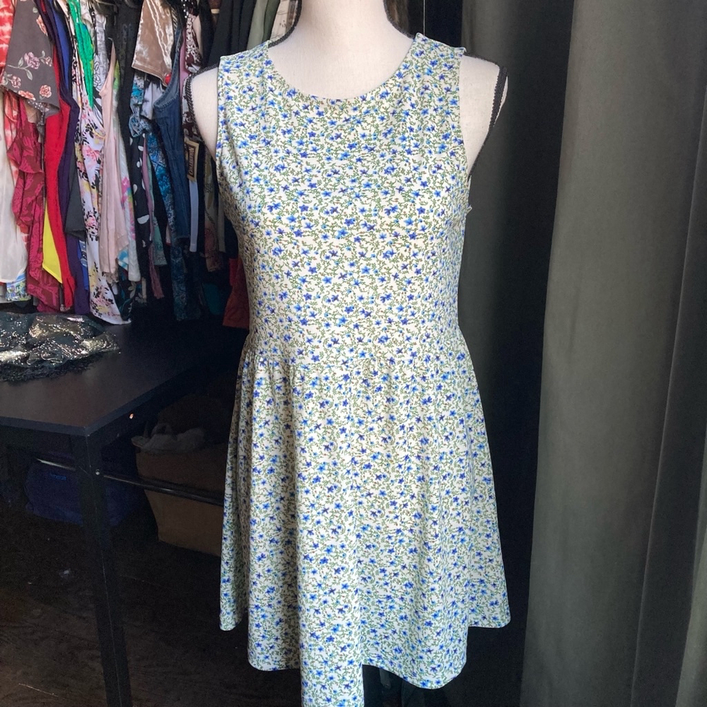 Women's H&M Divided Dress, Size 6, Blue Floral